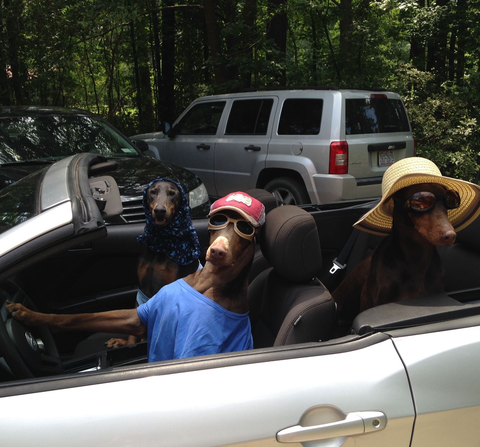 Profile of Kevin Cunningham