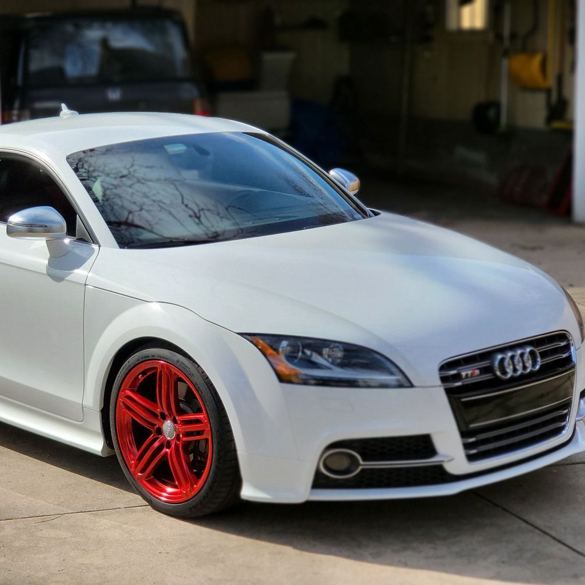 Profile of Bruce Tams