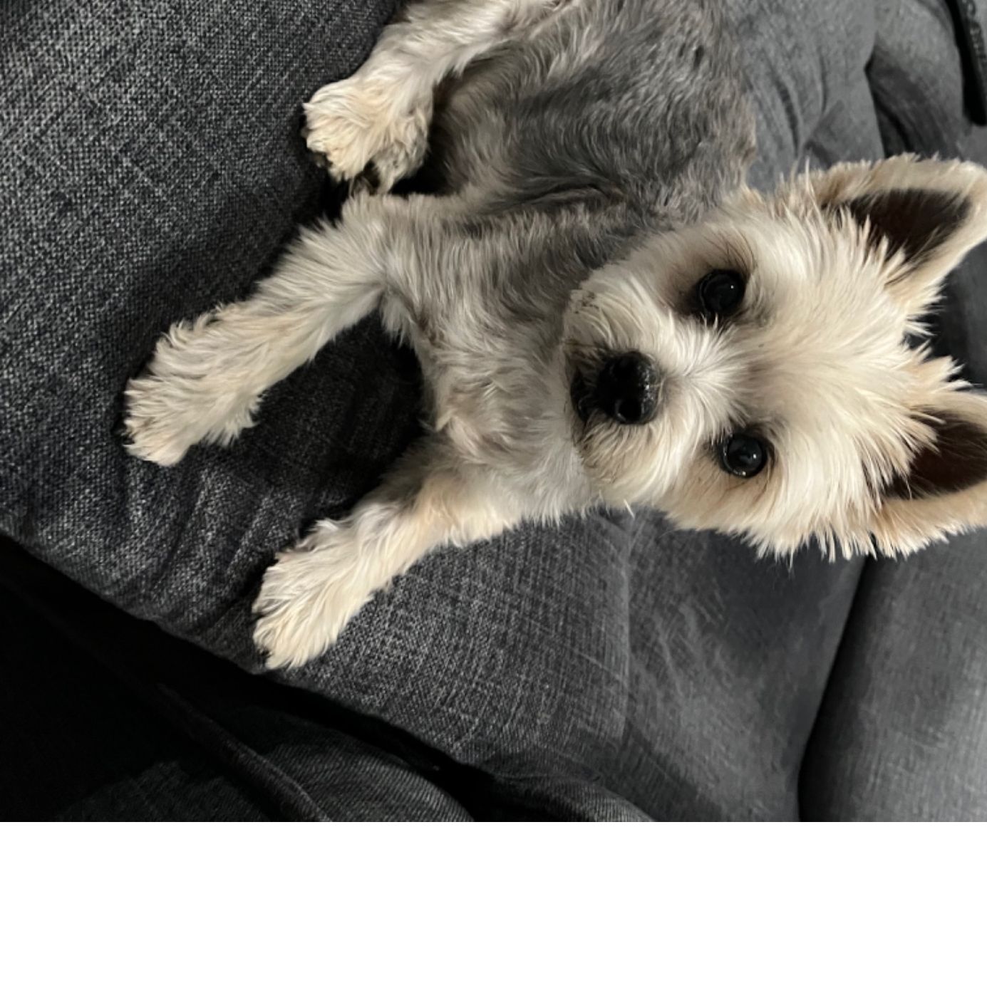 Profile of Thomas Lewczak