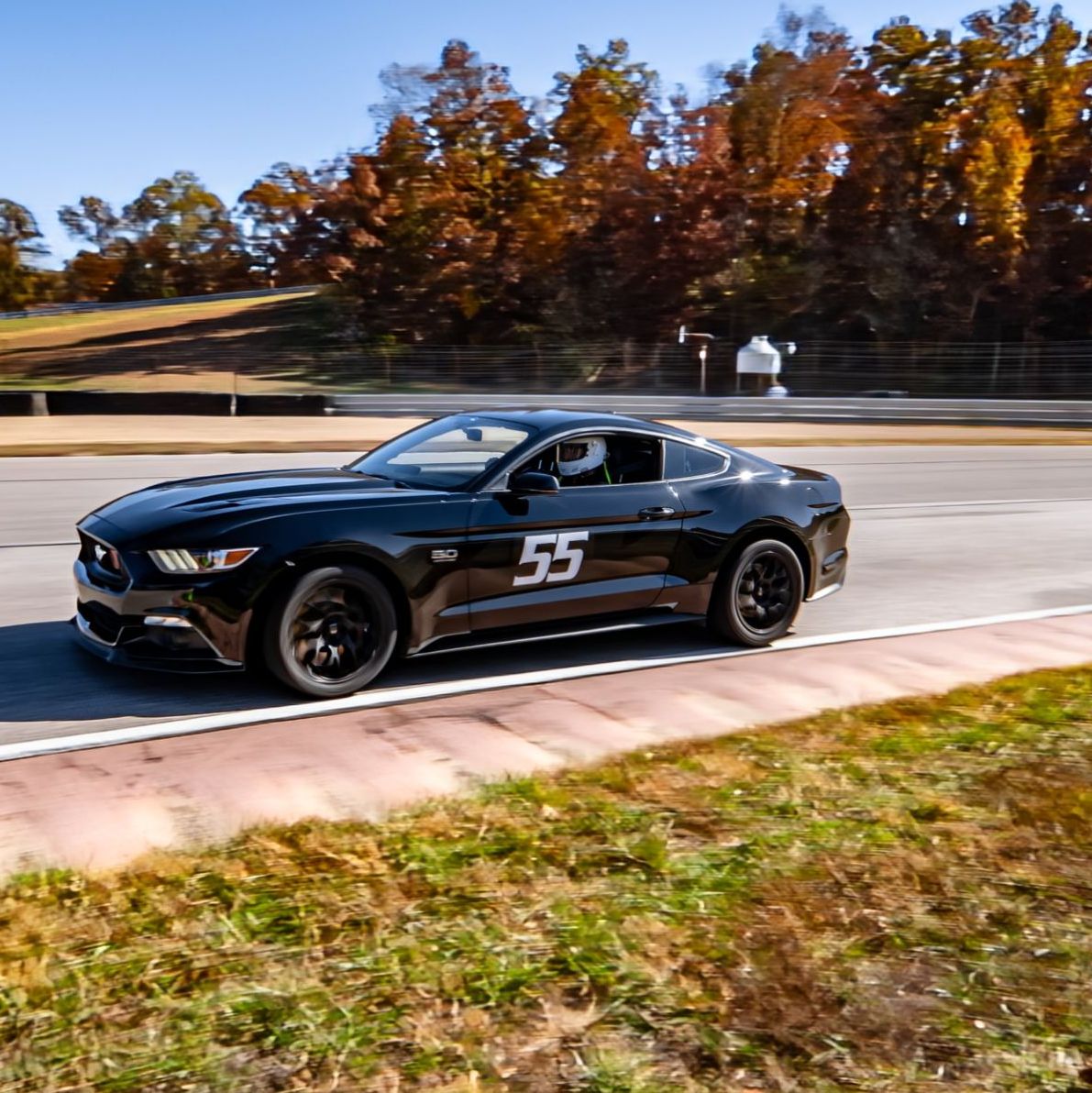 Profile of Seth Stevens