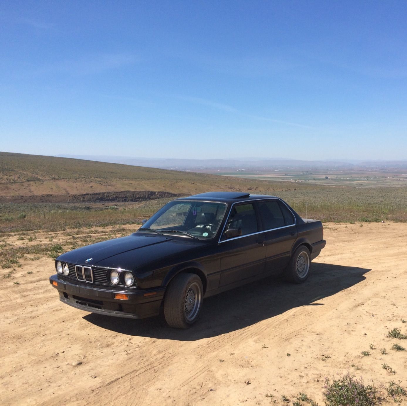 Profile of Kevin Lambert