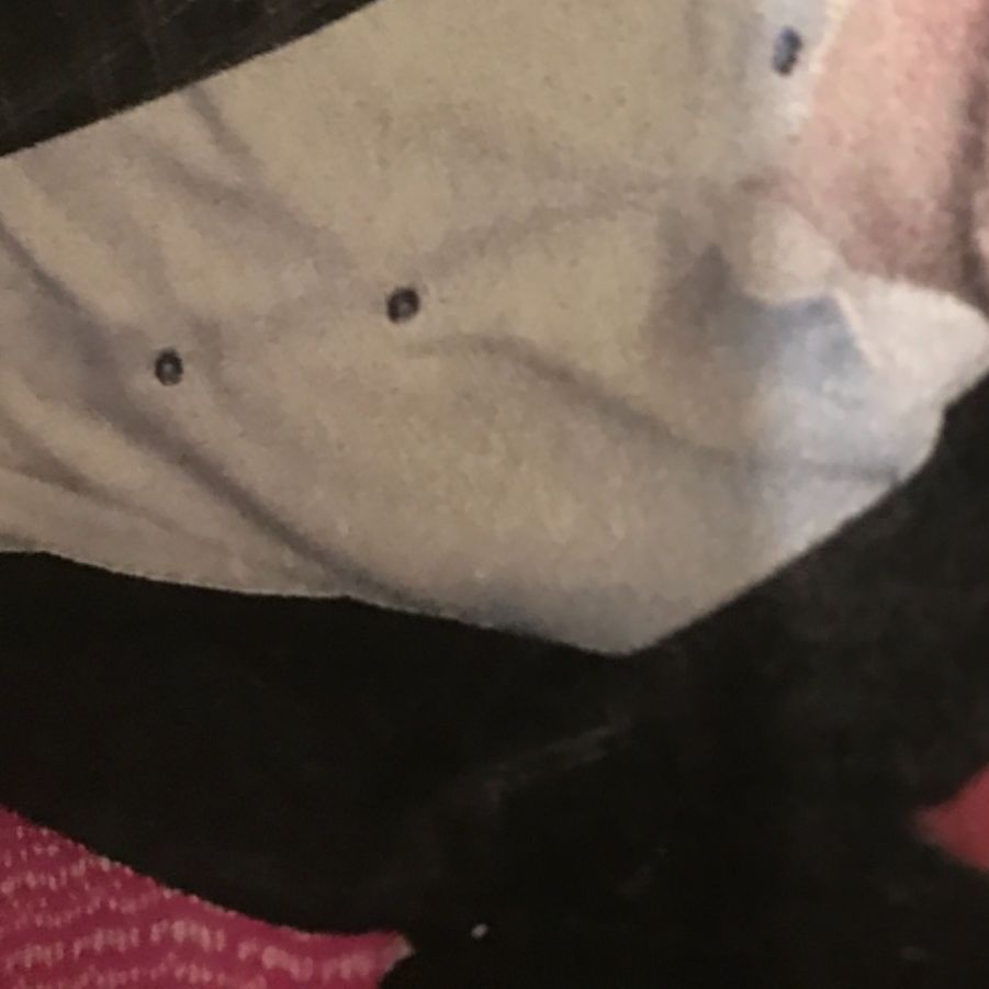 Profile of Jeff Williams