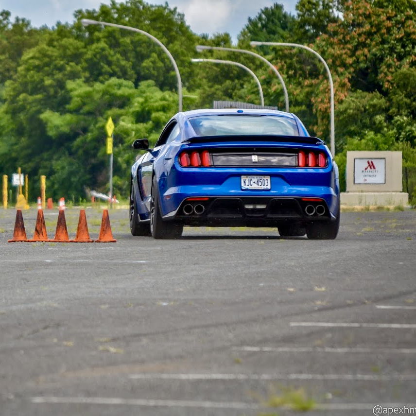 Profile of Ted Cerone