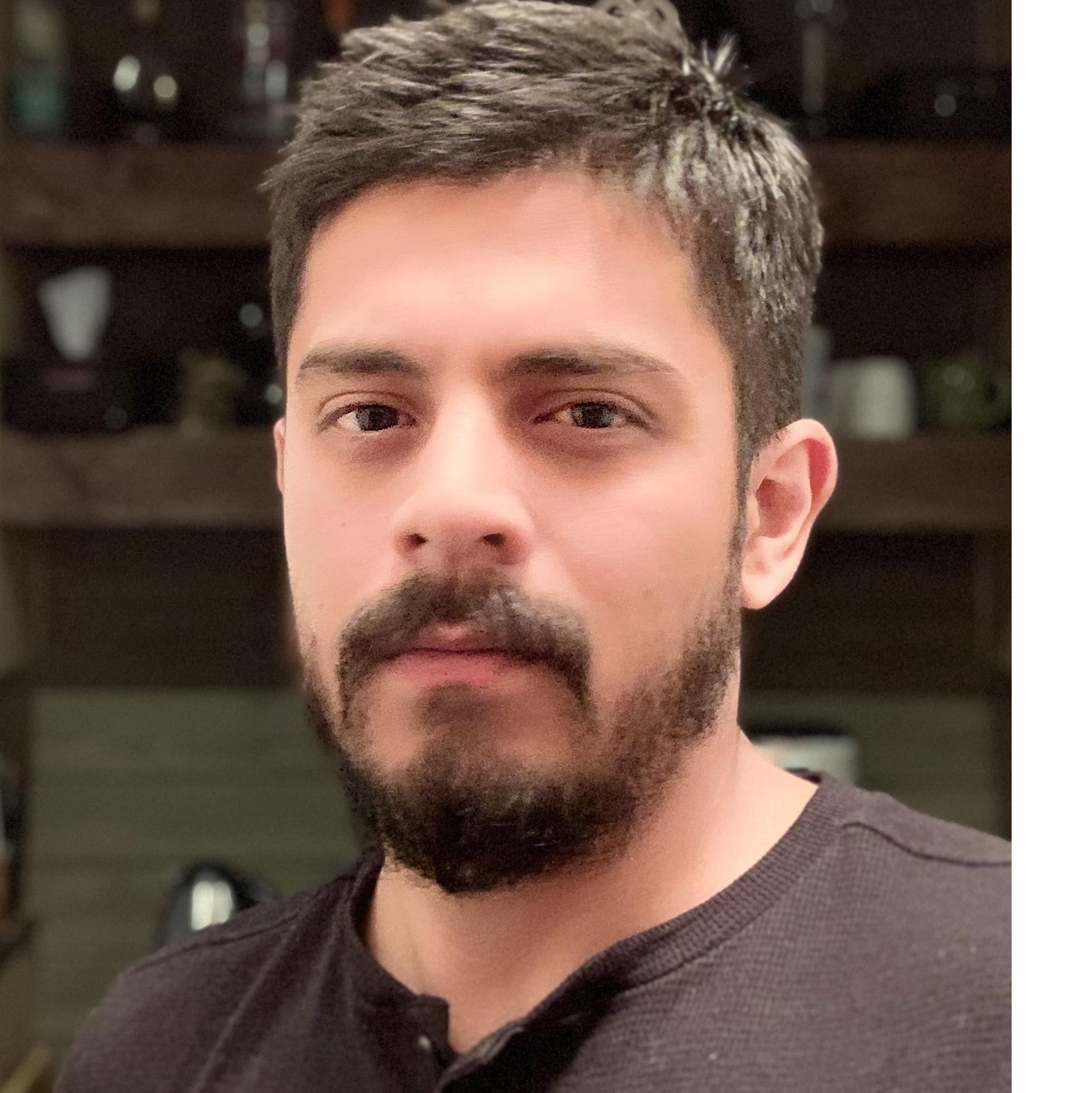 Profile of Mario Torres