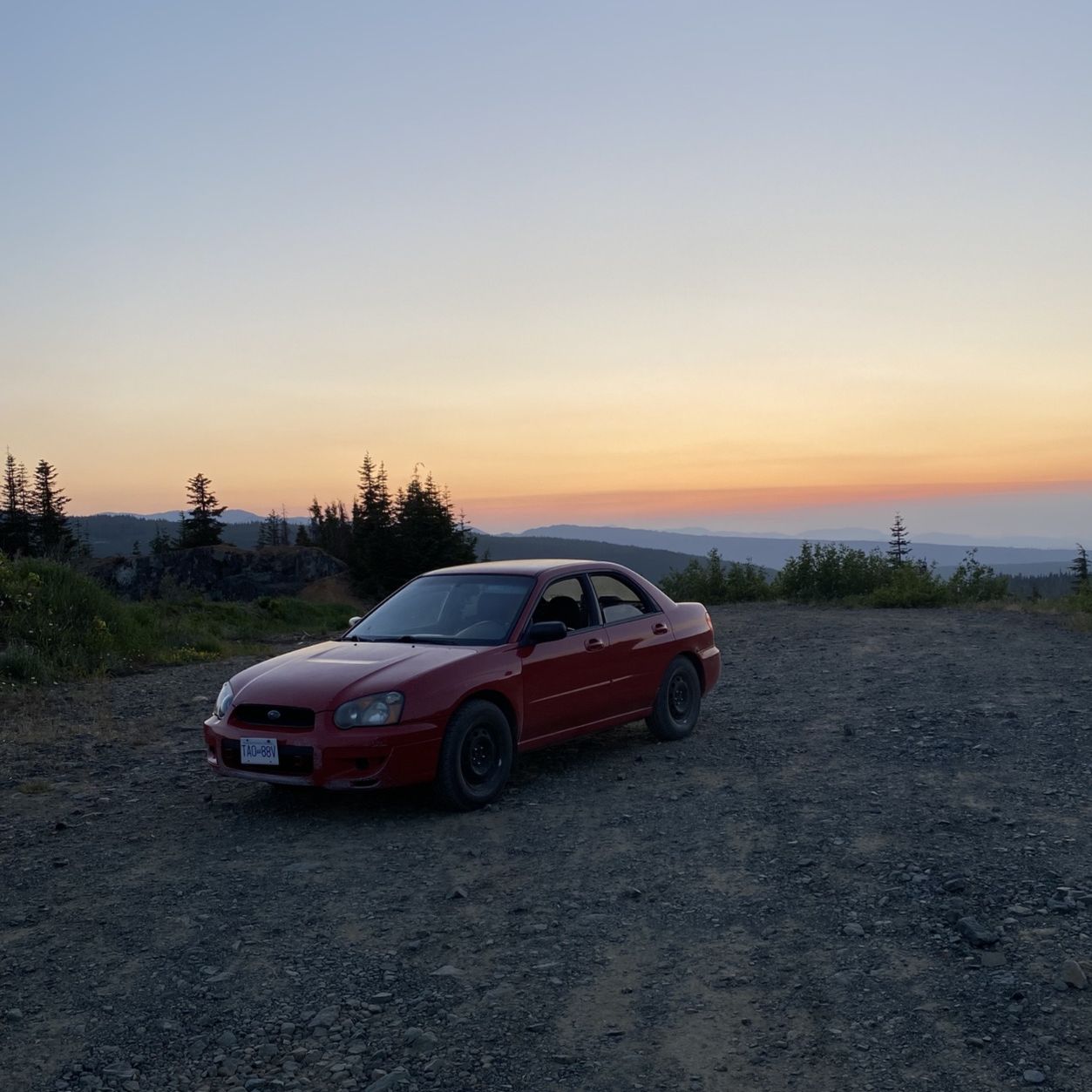 Profile of Ian Lehton