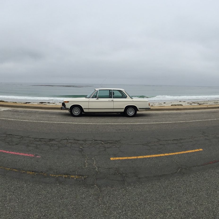 Profile of Robert Pacifici