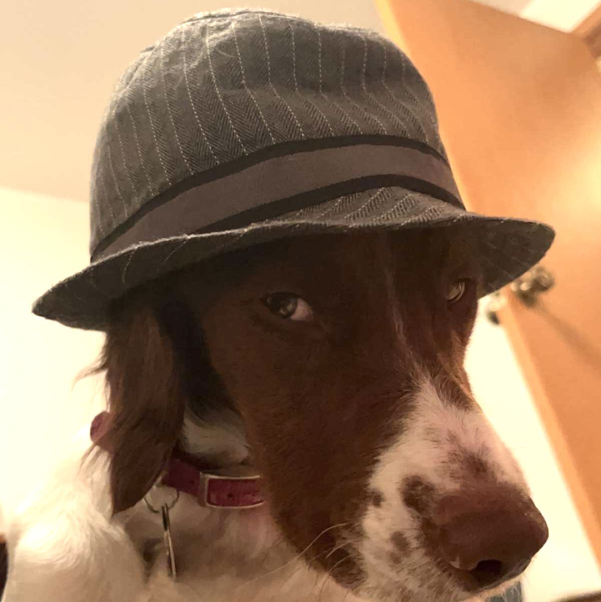 Profile of Adrian Andrew