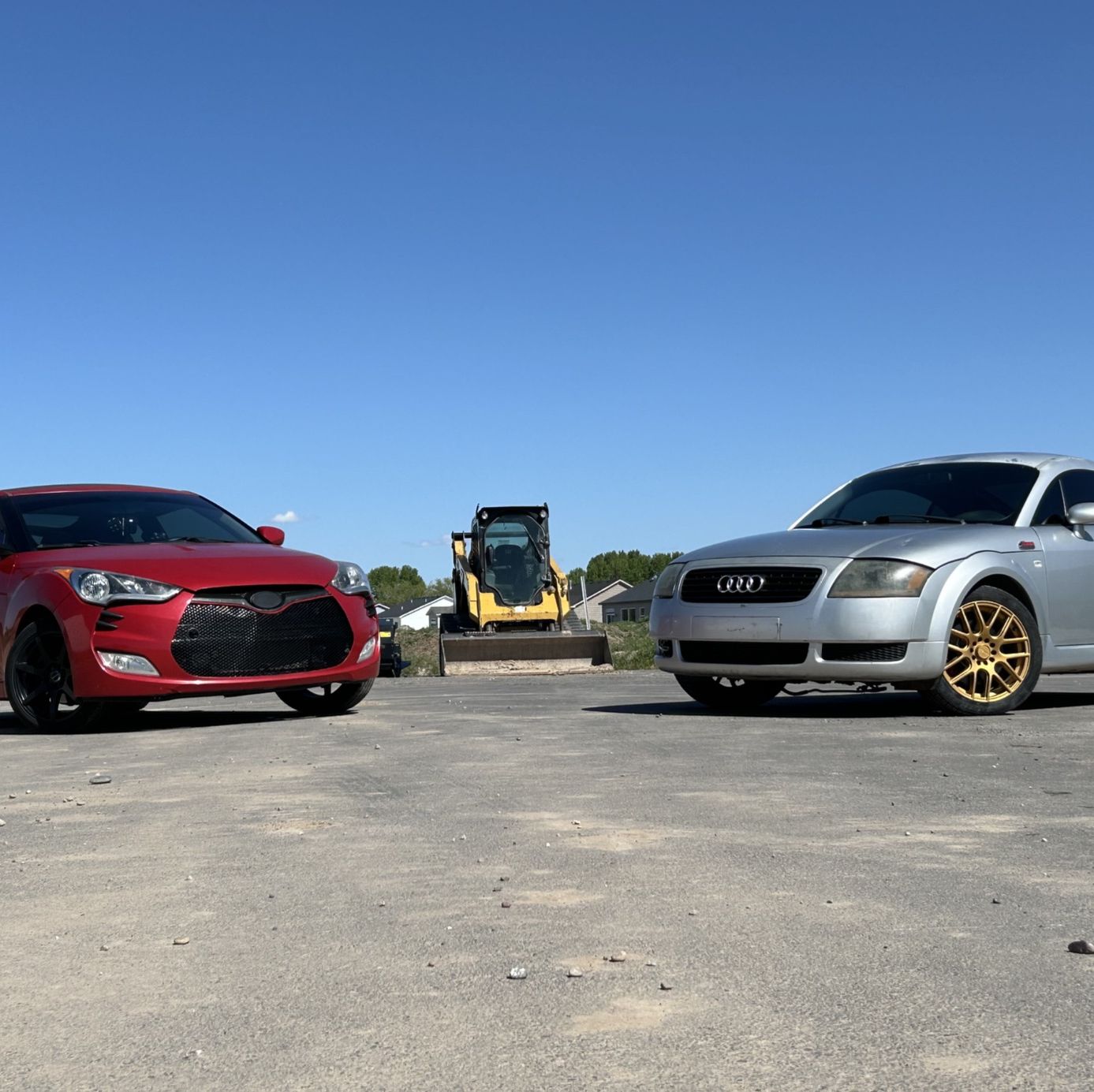 Profile of Tegan Allen