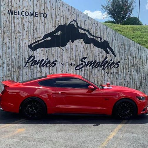 Profile of Carrol Rochester