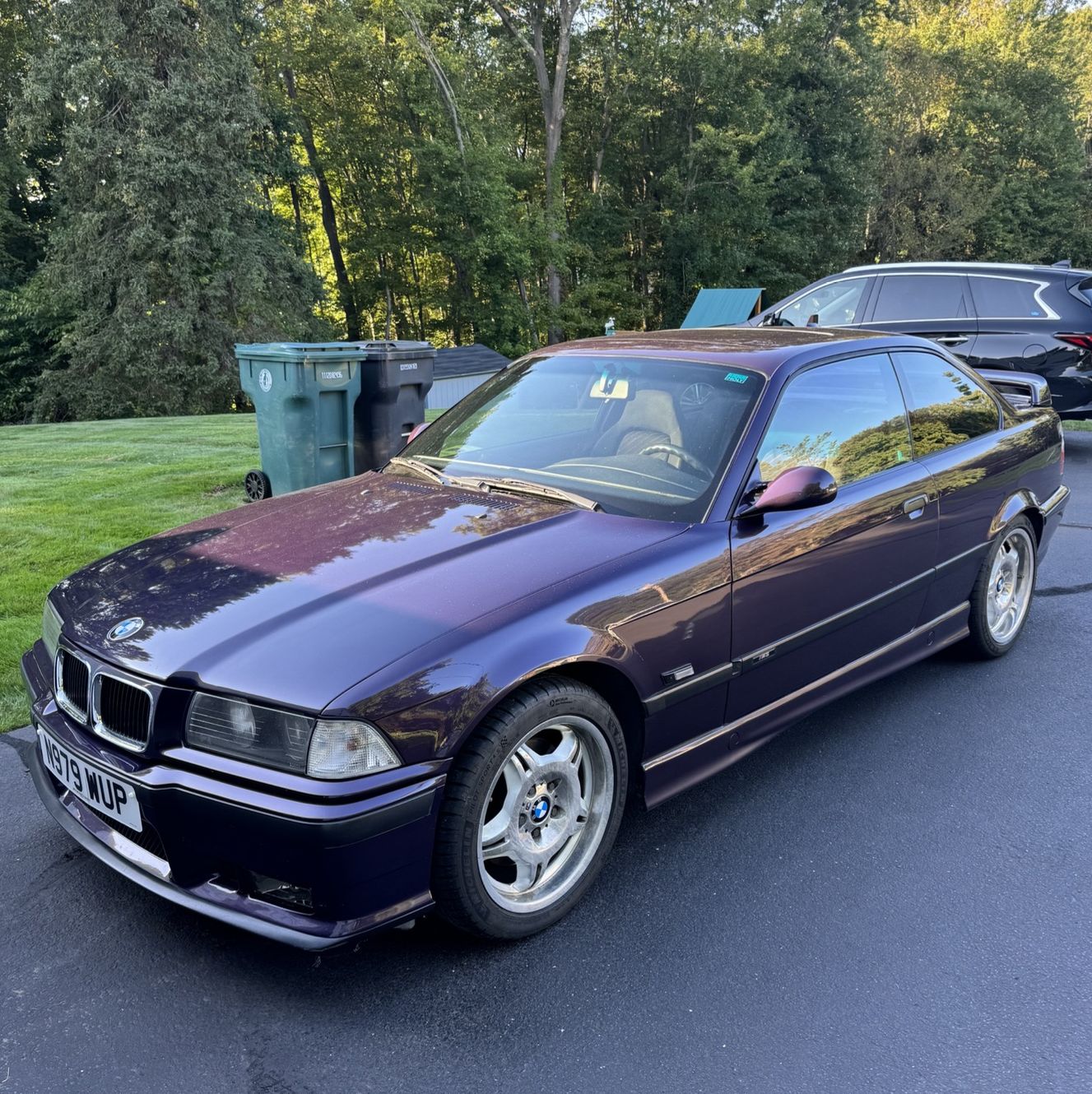 Profile of Alex Carvalho