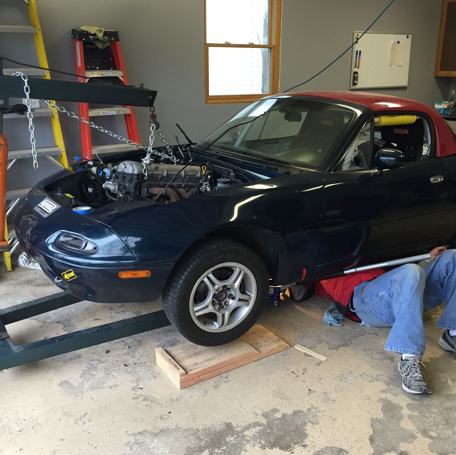 Profile of William Swenson