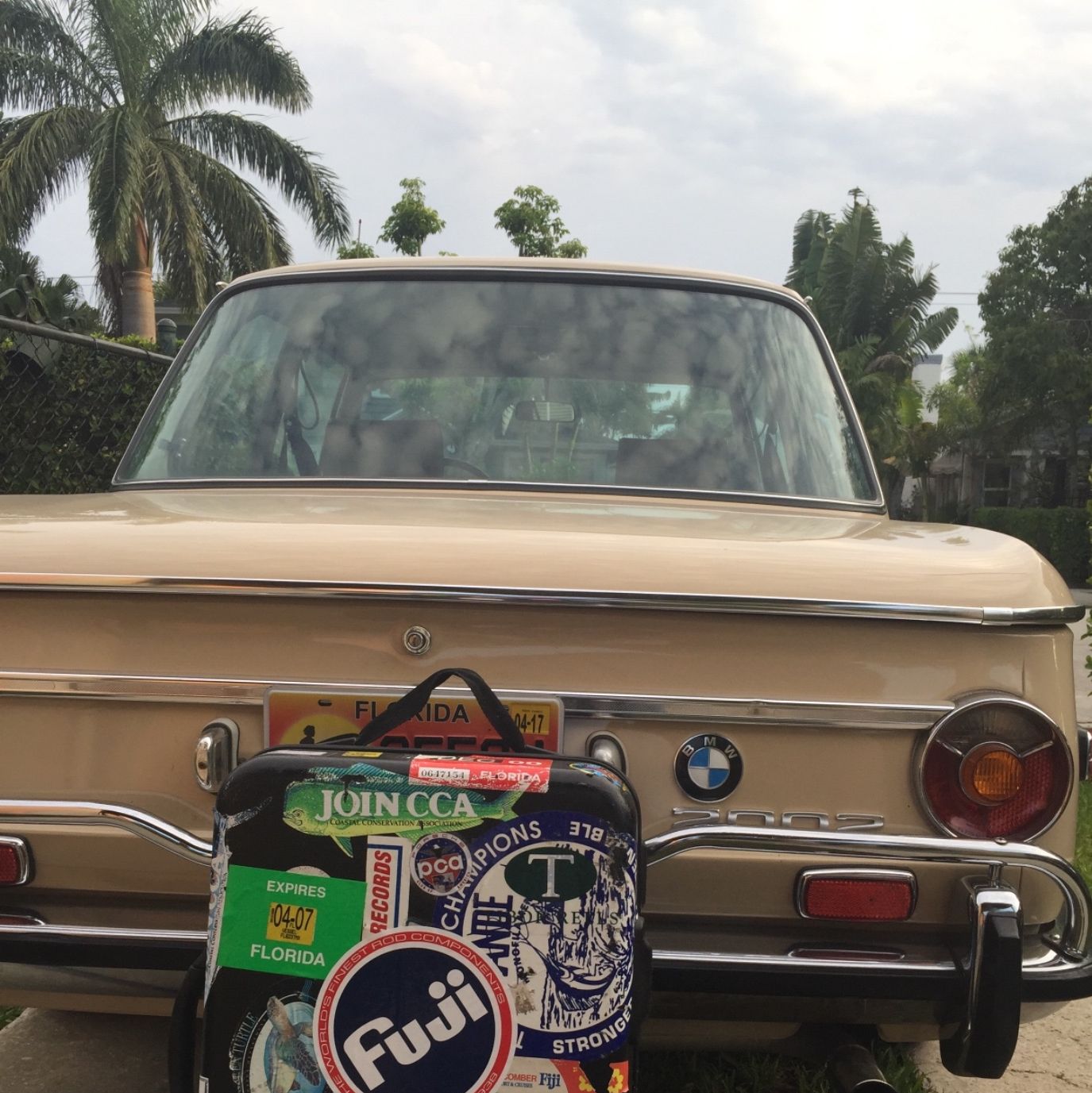 Profile of Gary York