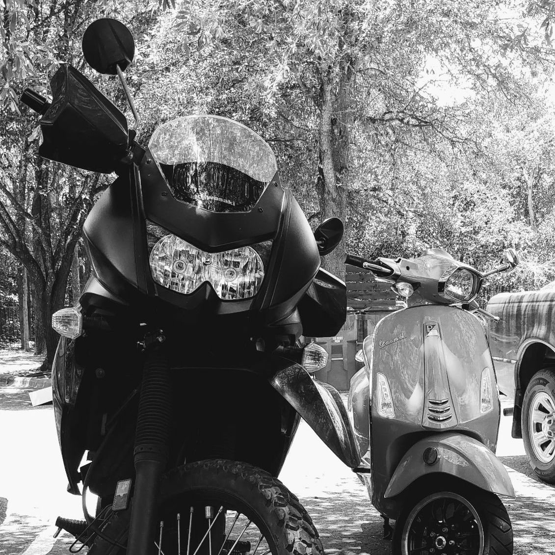 Profile of Zachary Taylor