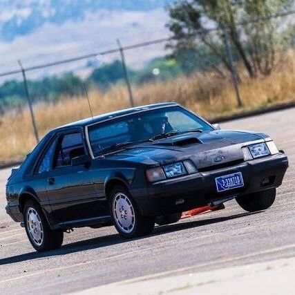 Profile of Joel Dietrich