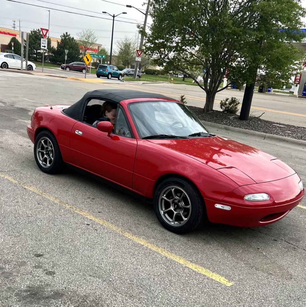 Profile of Collin Wood