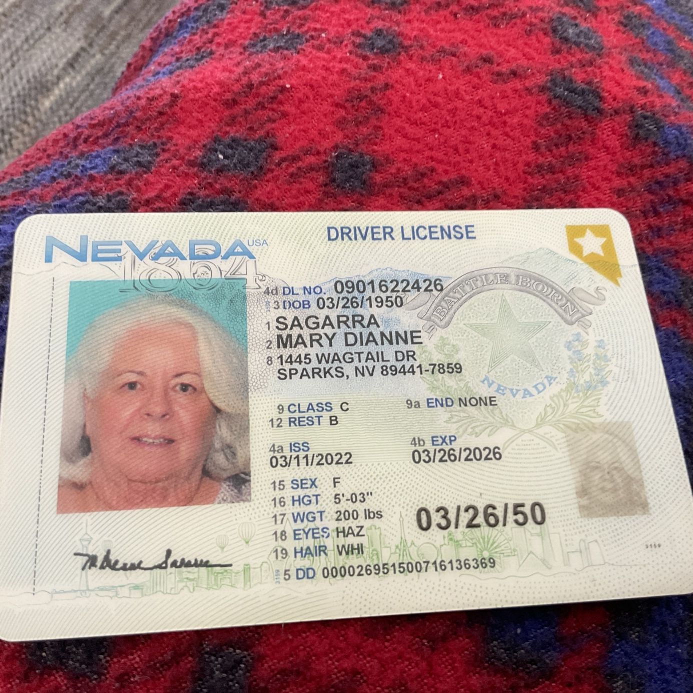 Profile of Dianne Sagarra