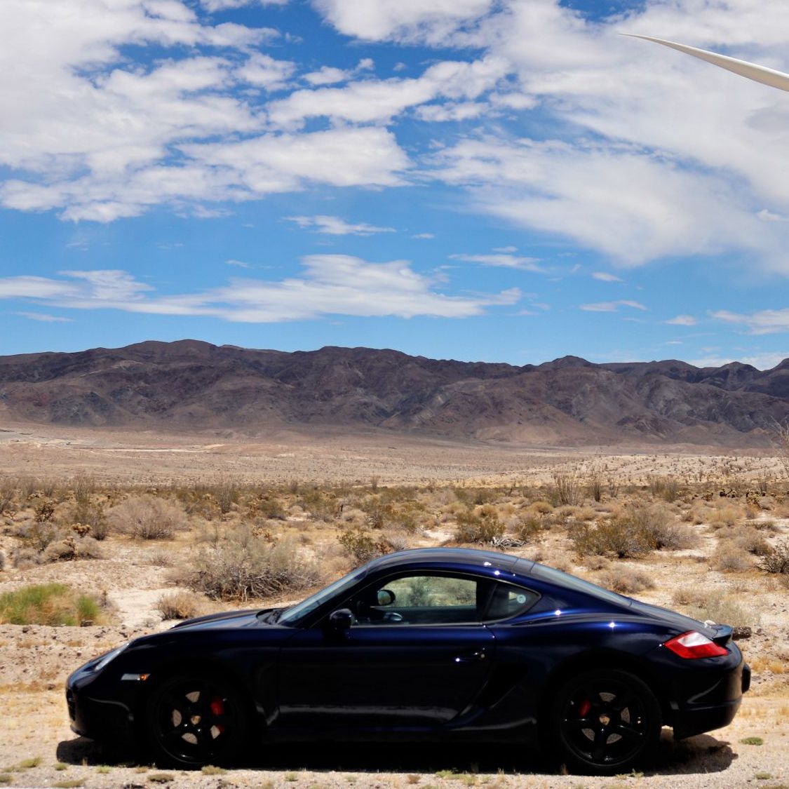 Profile of Paul Nugent