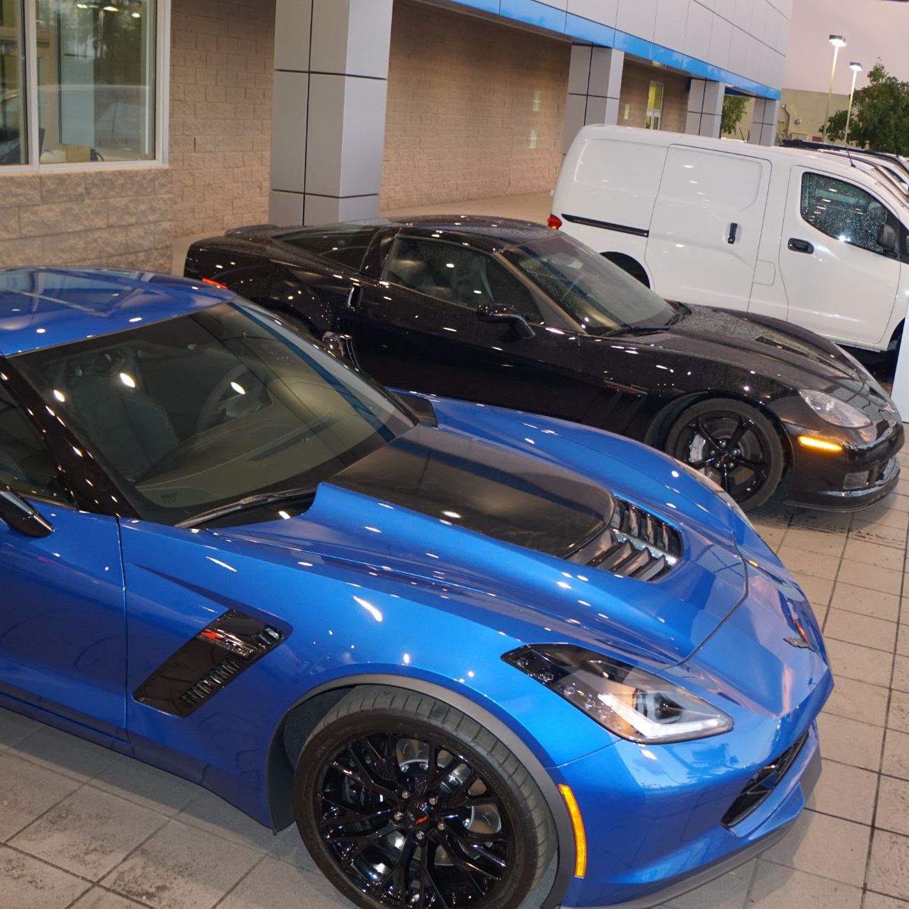 Profile of Brian McGinn