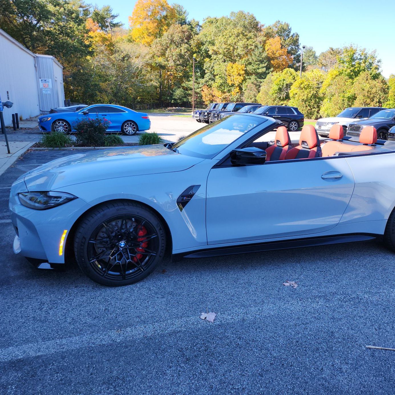 Profile of Douglas Beck