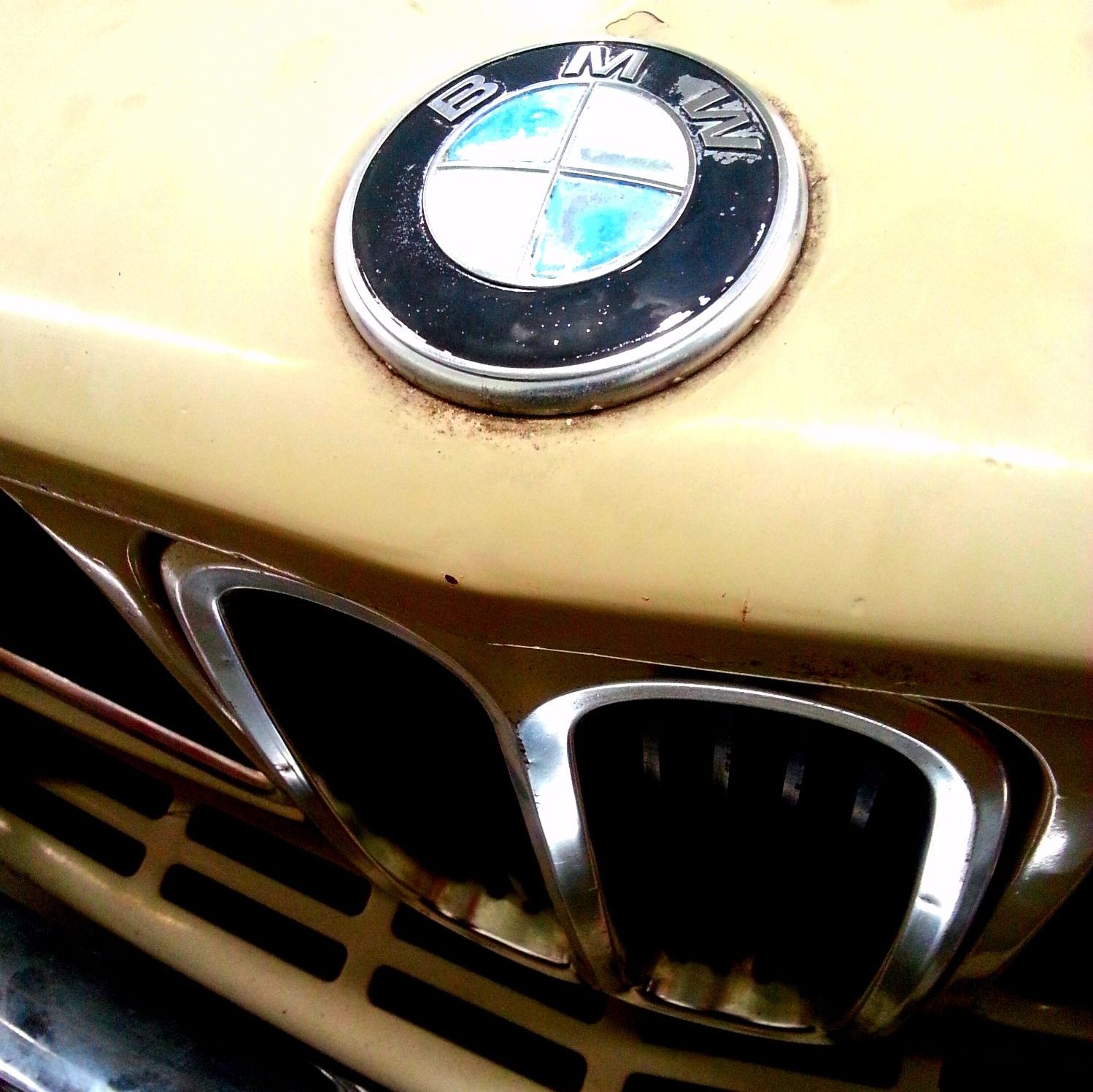 Profile of Daniel Cole