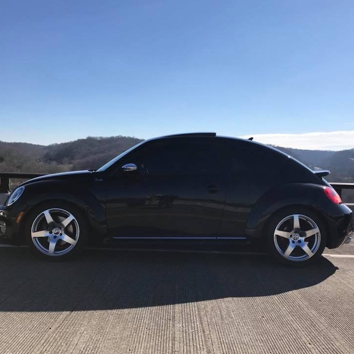 Profile of Donald Chestnut