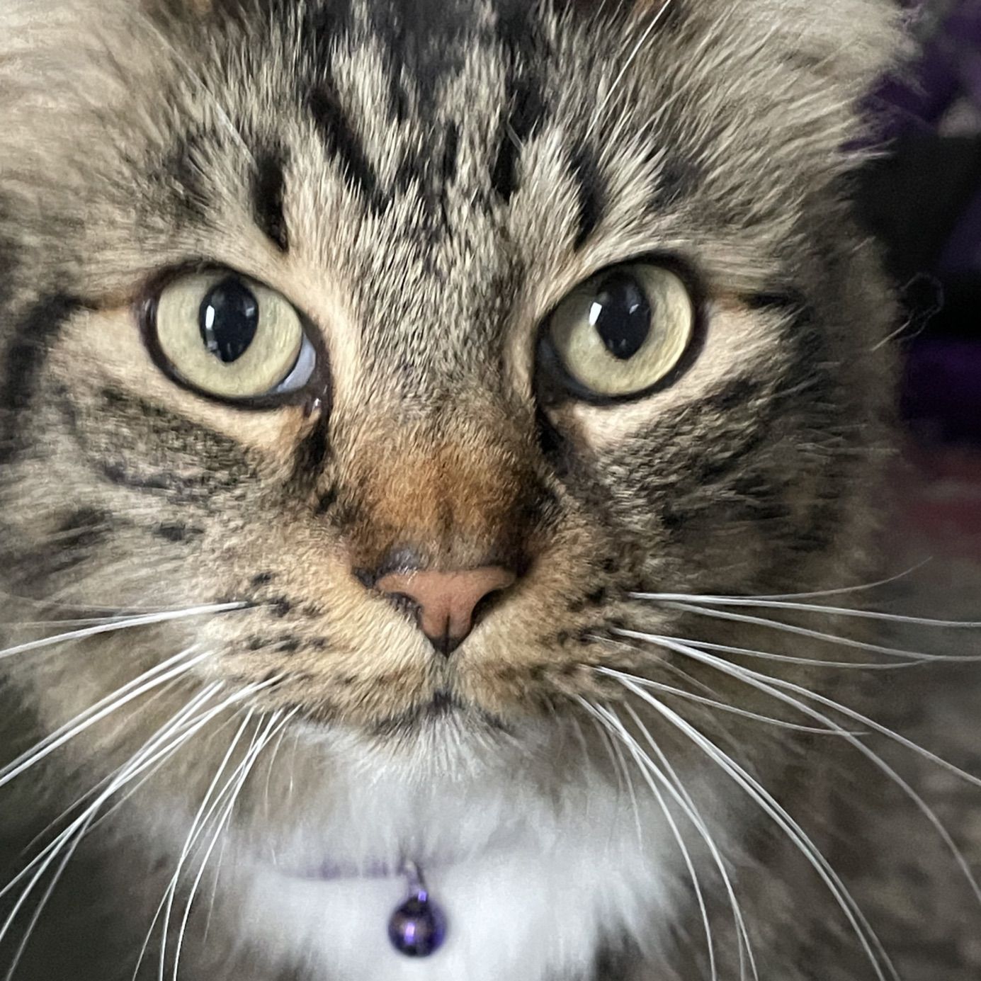 Profile of Lesli Wood