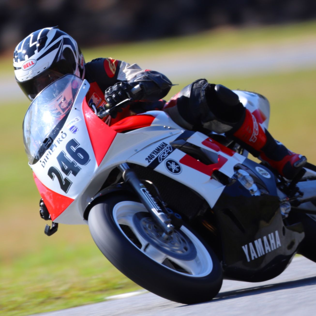 Profile of Gary Dipietro