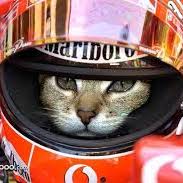 Profile of Kendra McKendall