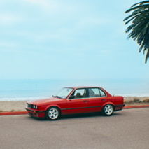 Profile of Arie Jauregui