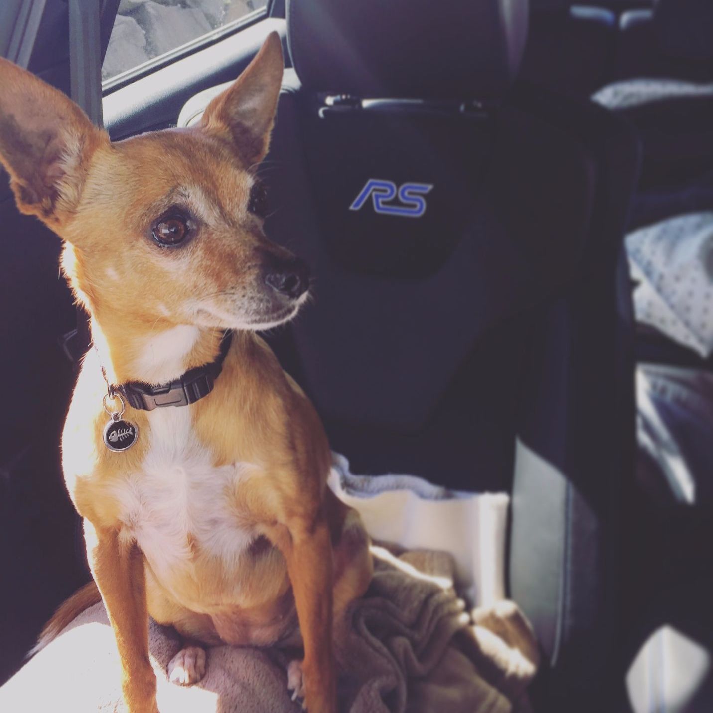 Profile of Justin Roeser