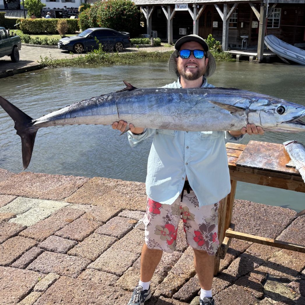 Profile of Lee Bolton