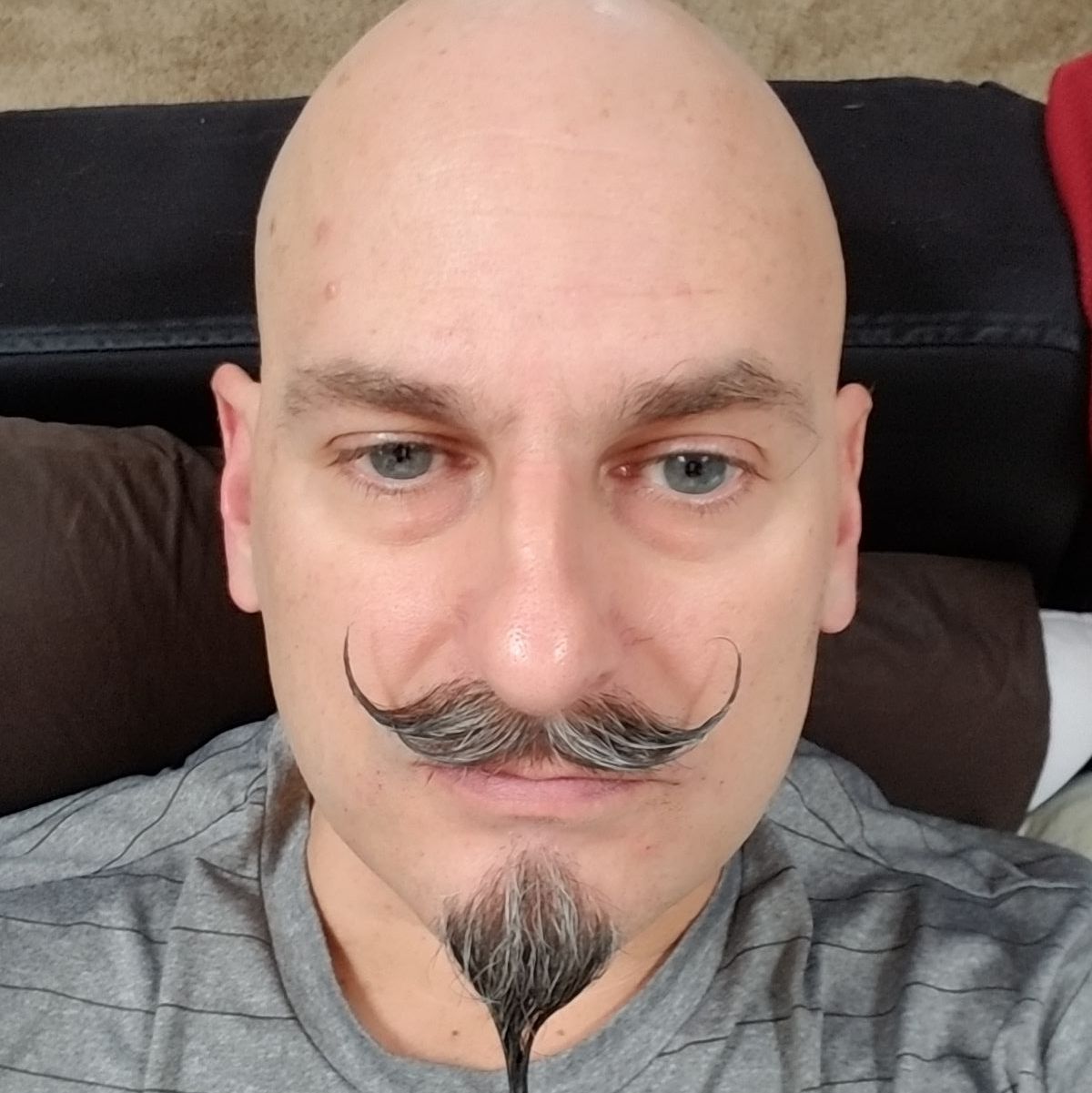 Profile of Todd Lakey