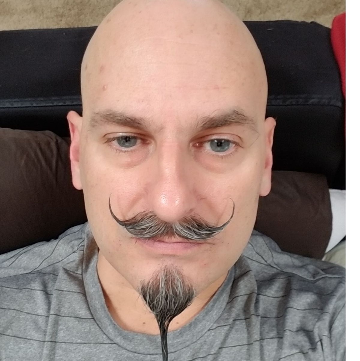 Profile of Todd Lakey