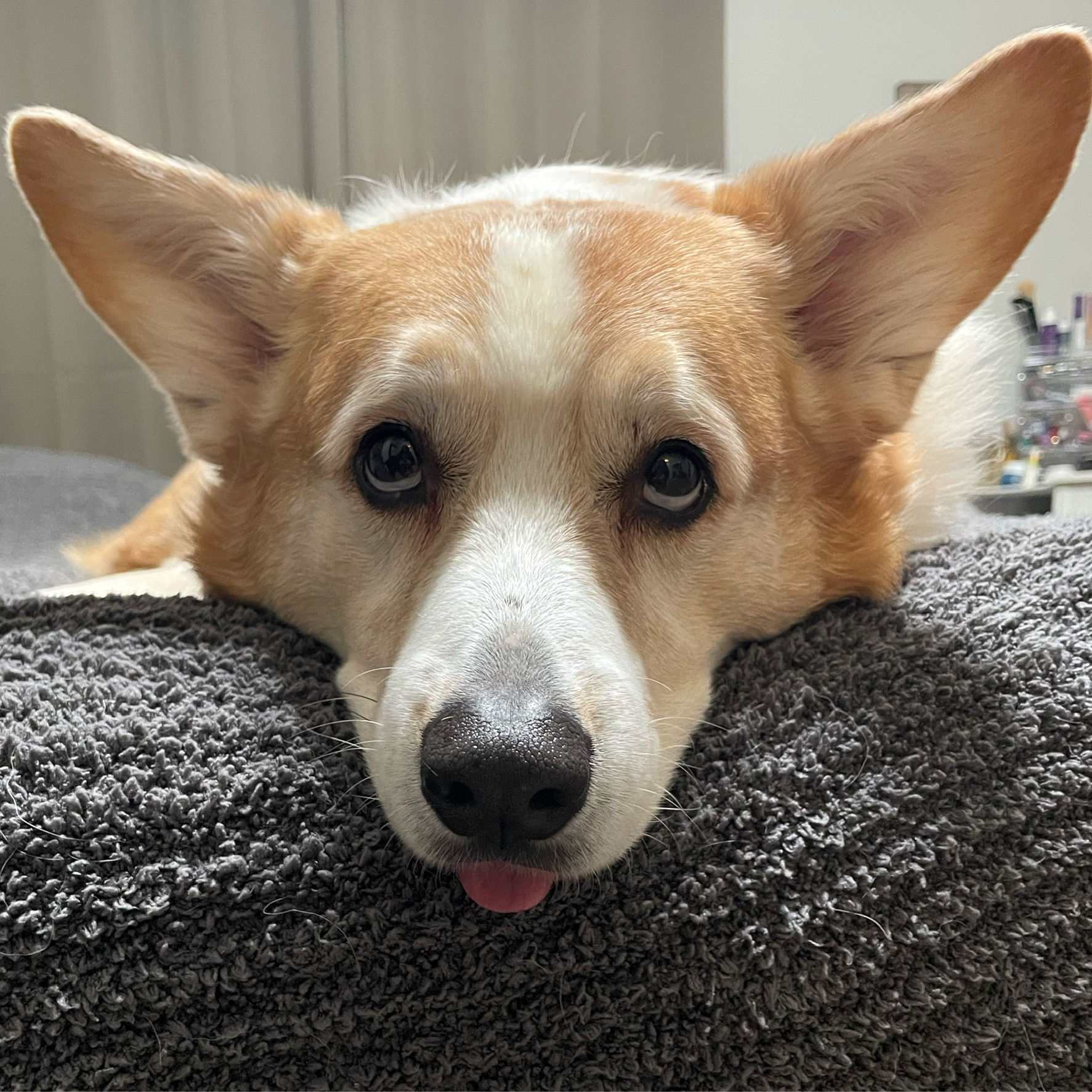 Profile of Cory Lynn Dennis