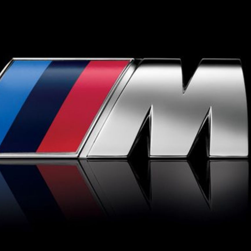 Profile of Maryam Saldana