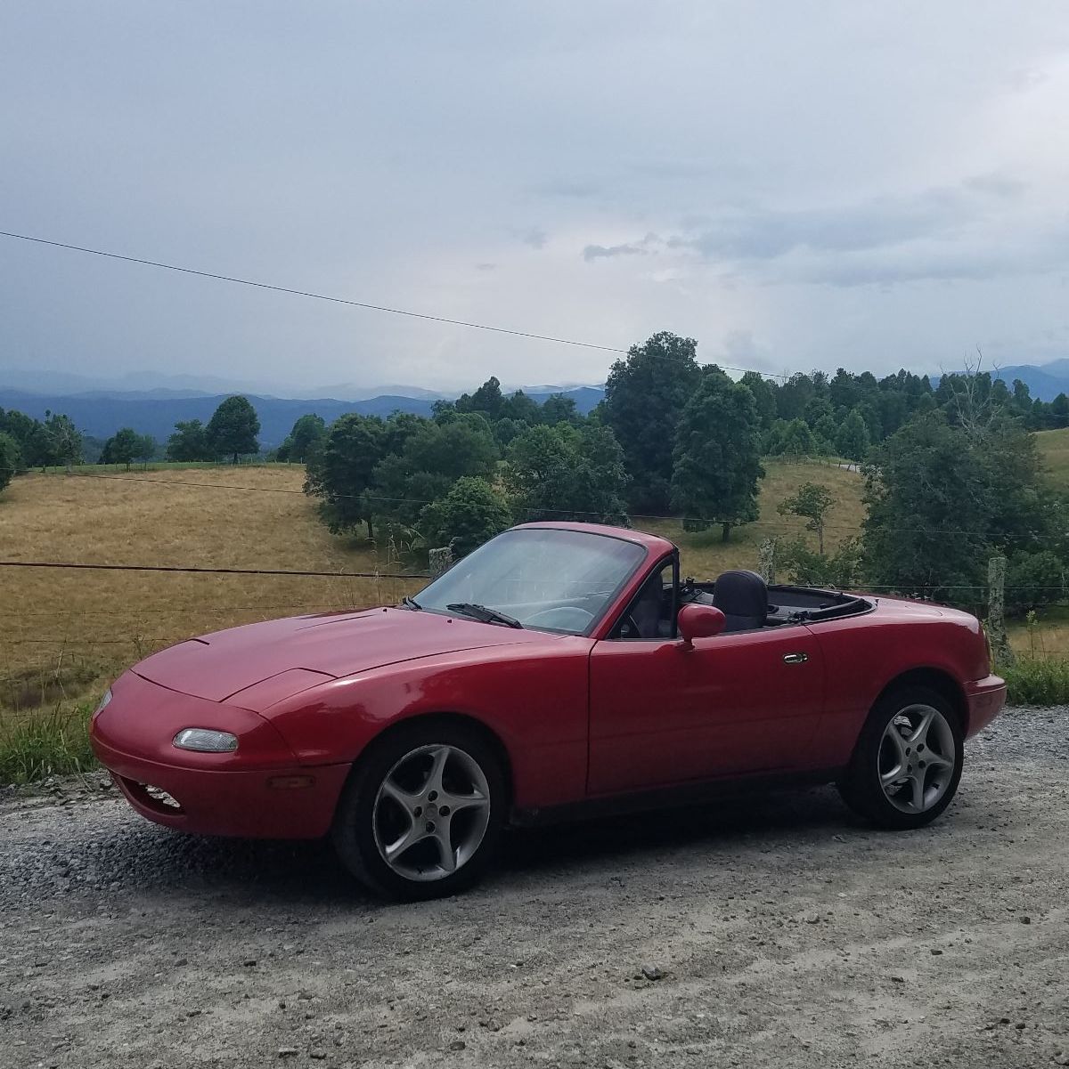 Profile of Will Hart