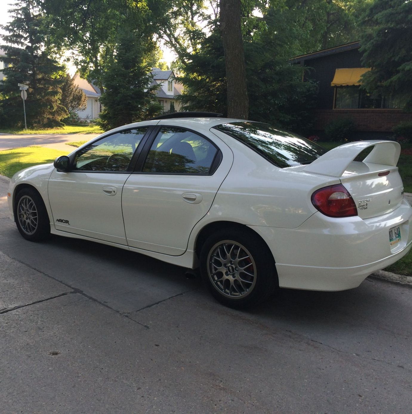 Profile of Steven Dubbert