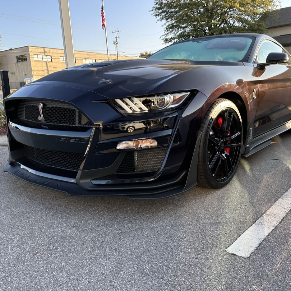 Profile of Stacey Rodriguez