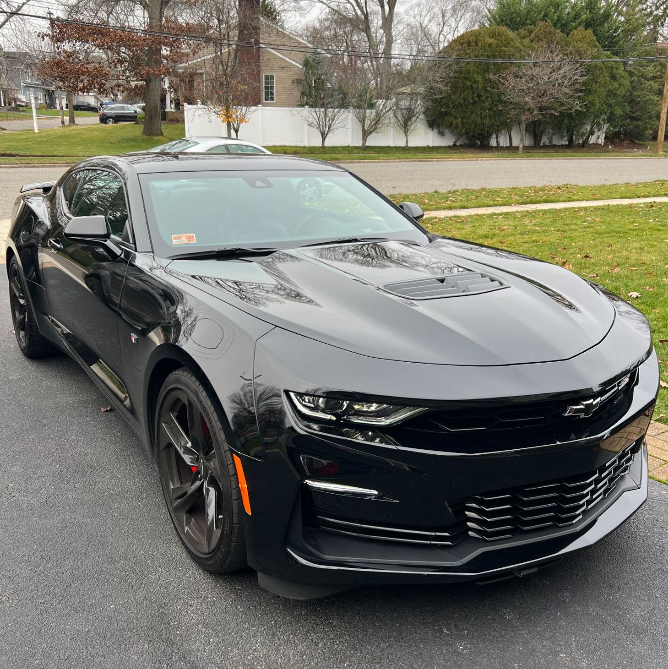 Profile of Bailey Rosmarin