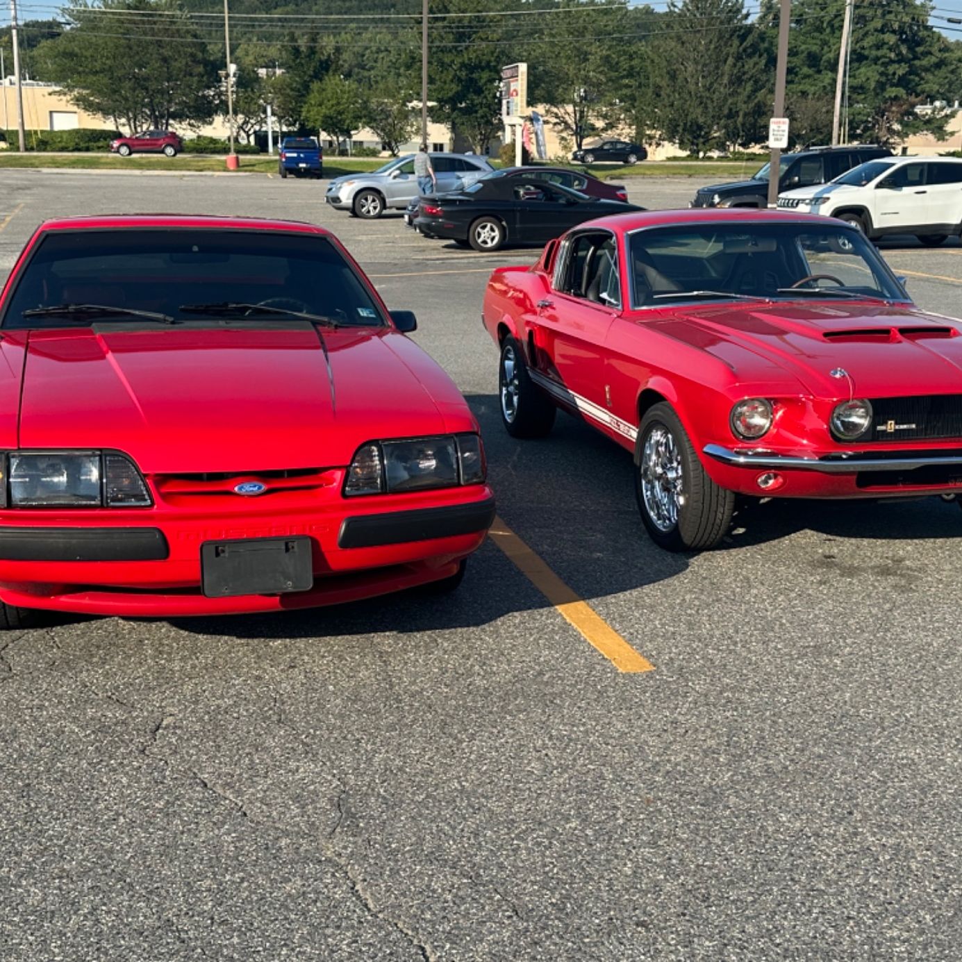 Profile of Zak Donnell