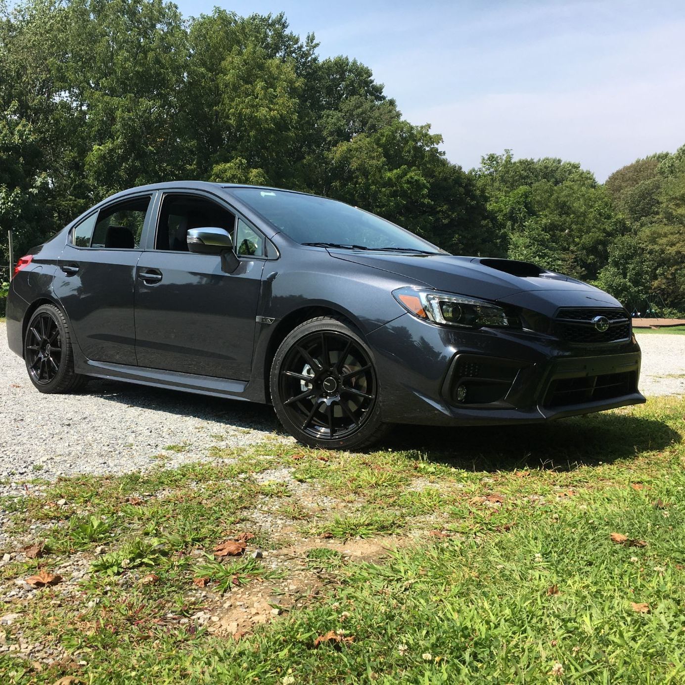 Profile of Travis Lu