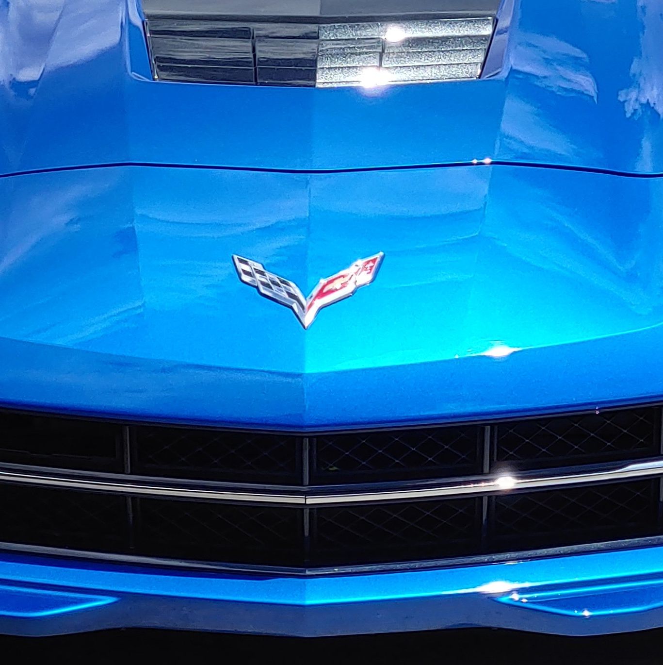 Profile of Terry Bulaski