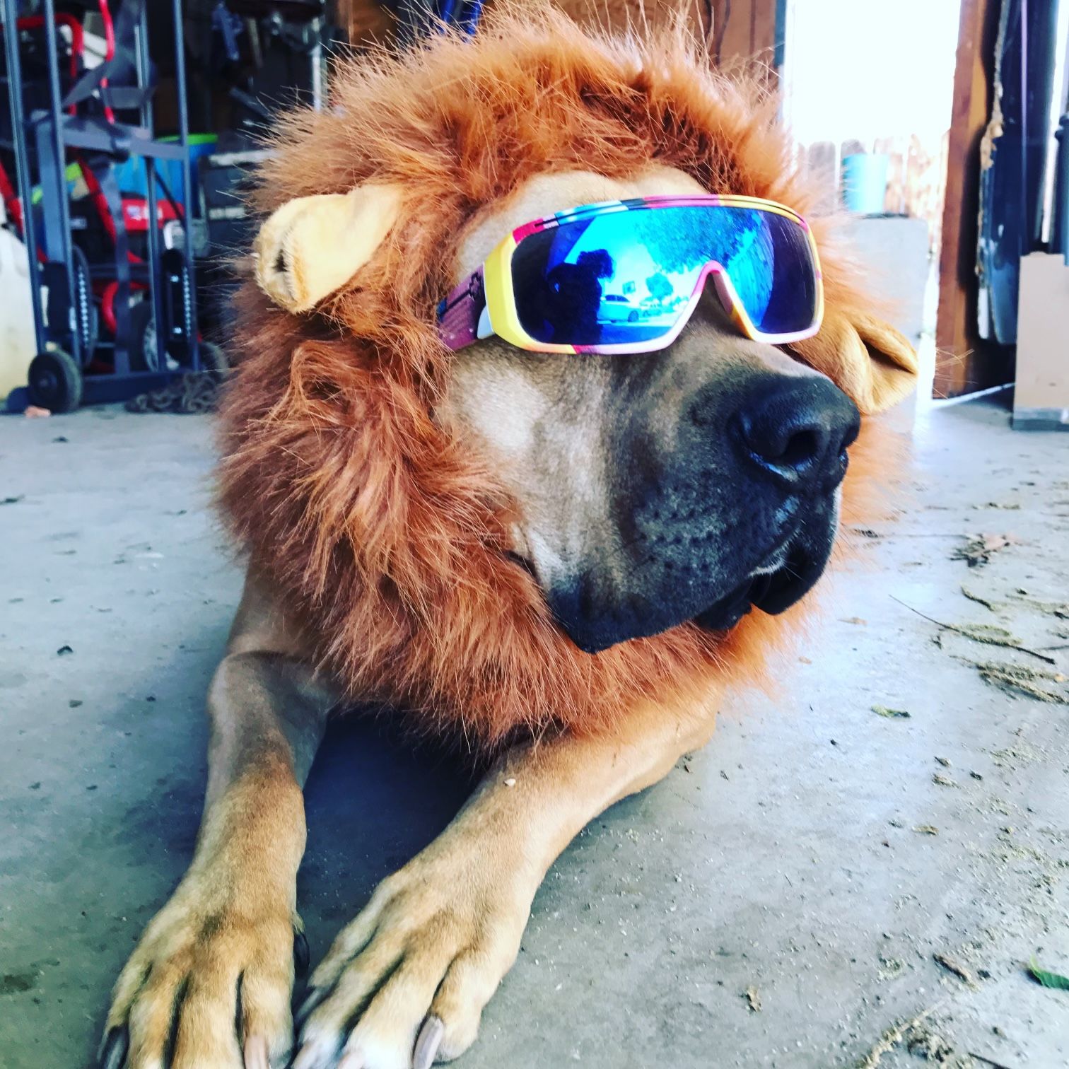 Profile of Scott Grano