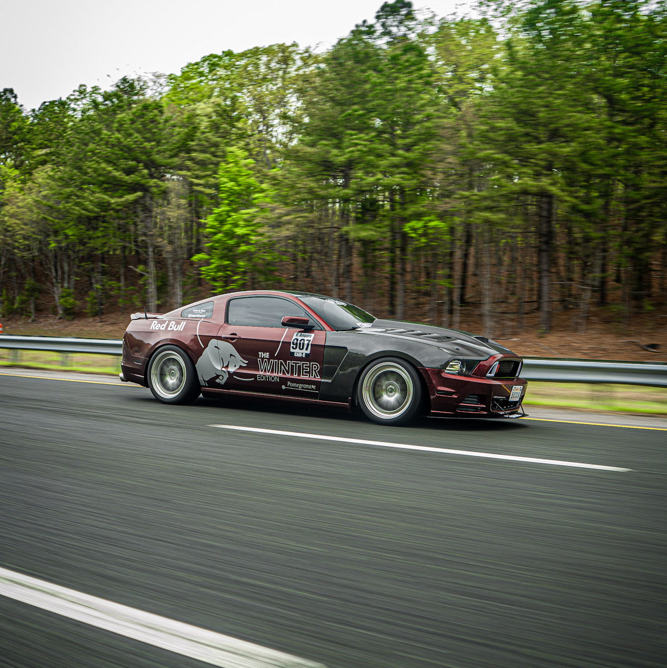 Profile of Cj Angüis