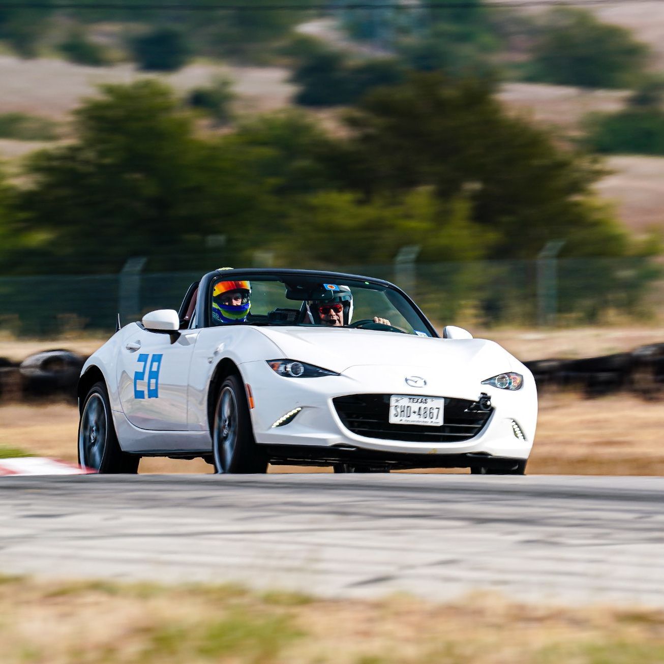 Profile of Mario Legel