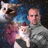 Profile of Brian Battocchi