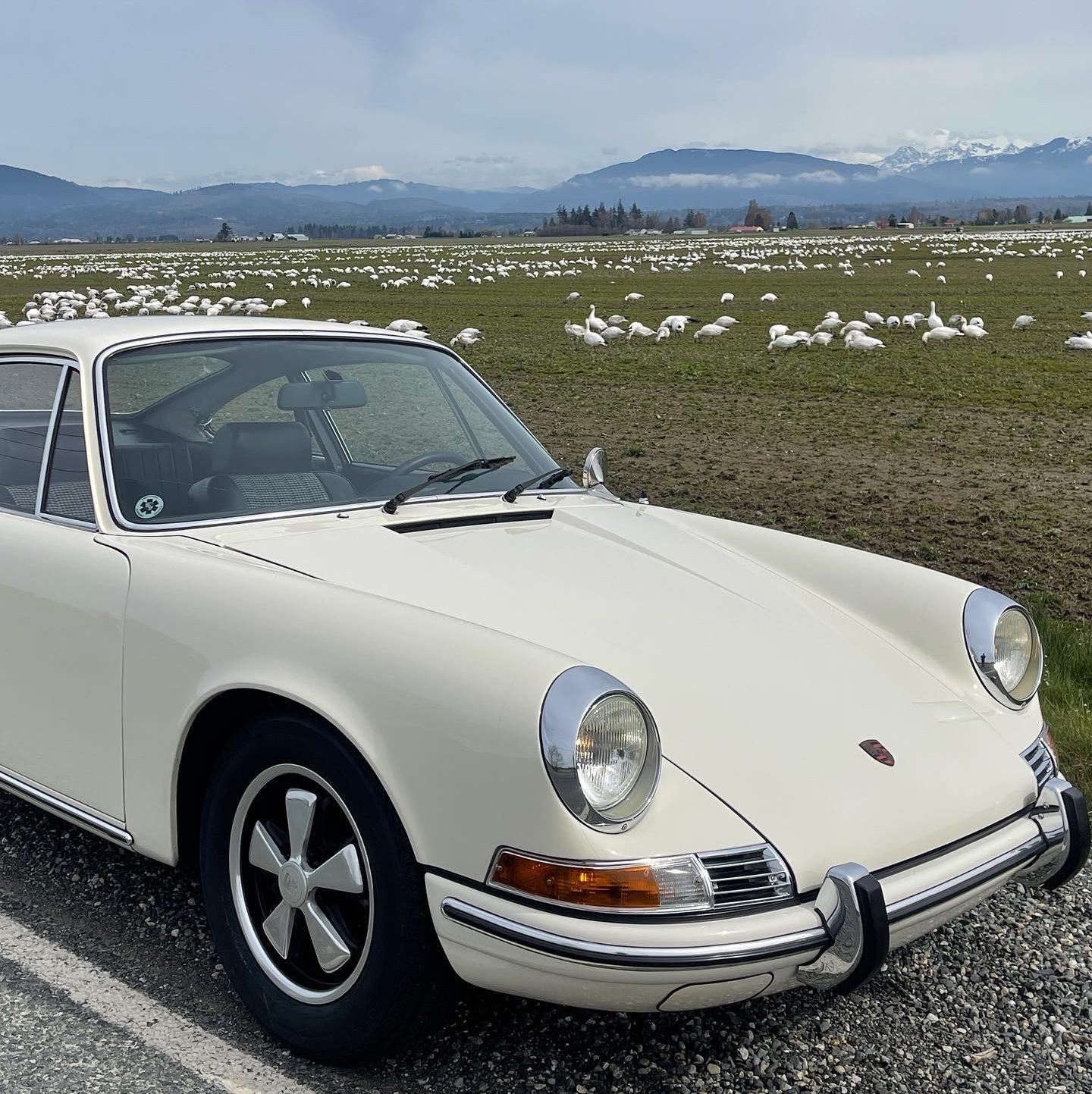 Profile of Phil McNamee