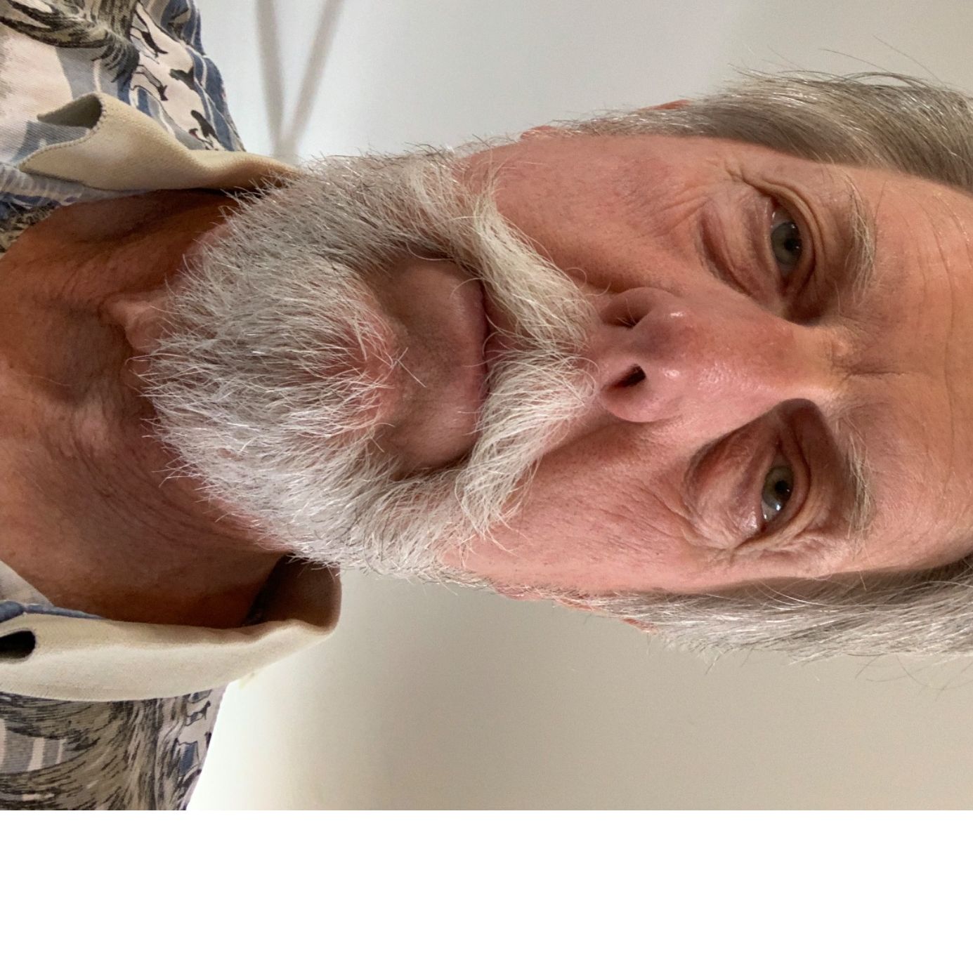 Profile of John Churchill