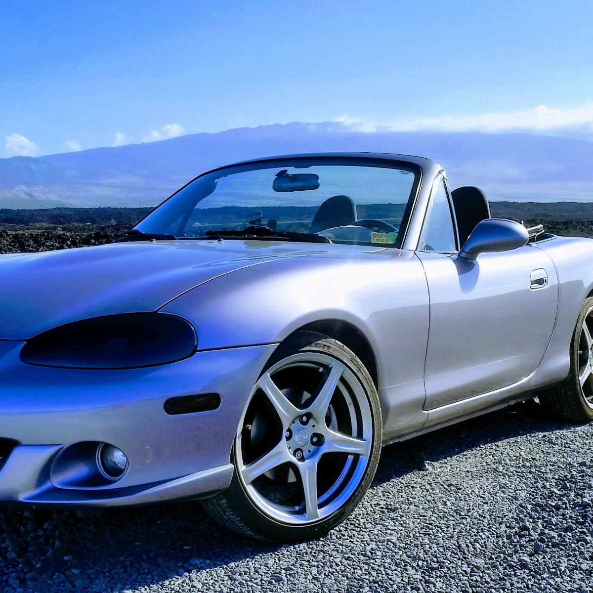 Profile of Tyler Wieserman