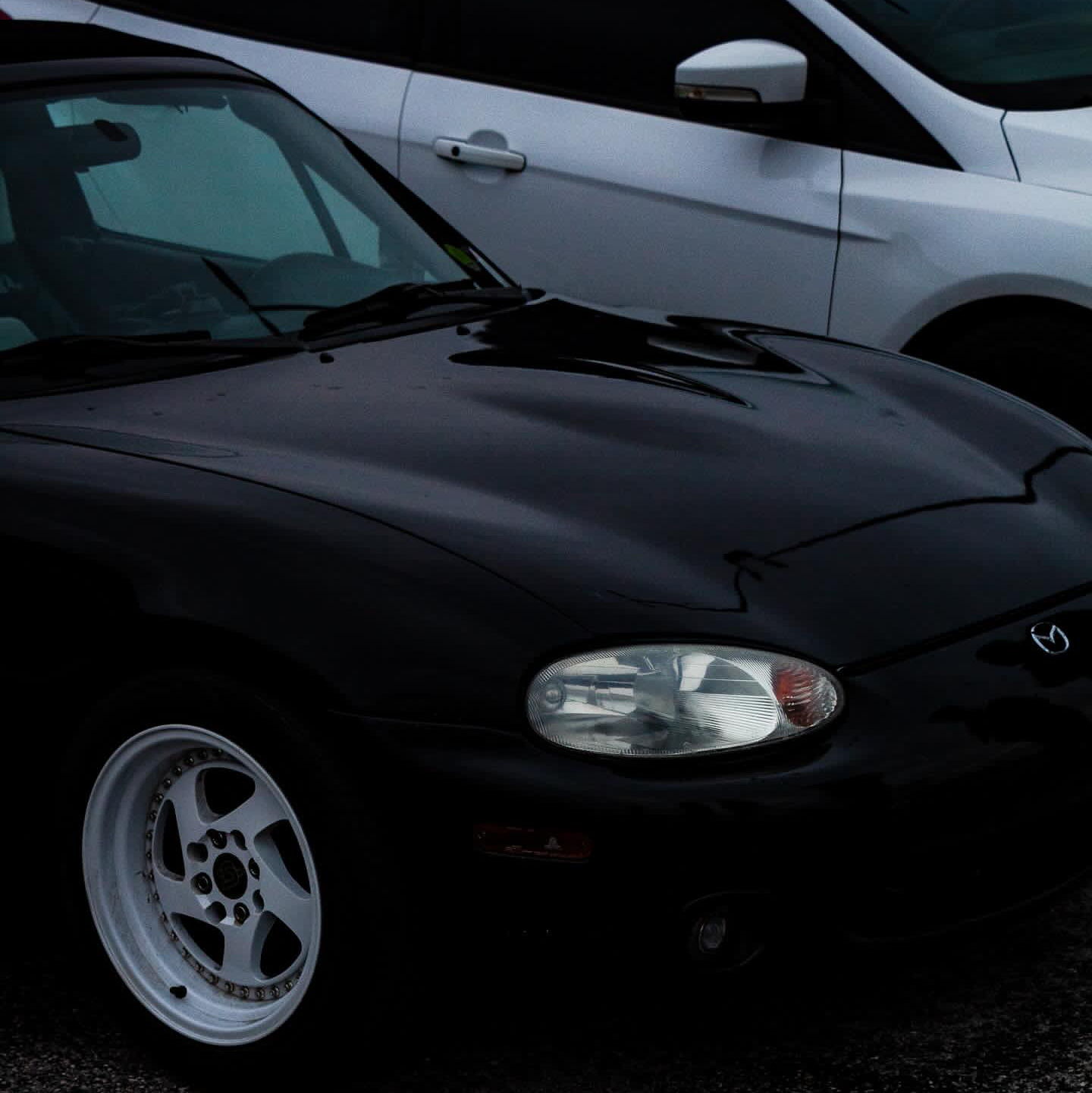 Profile of Molly Ford